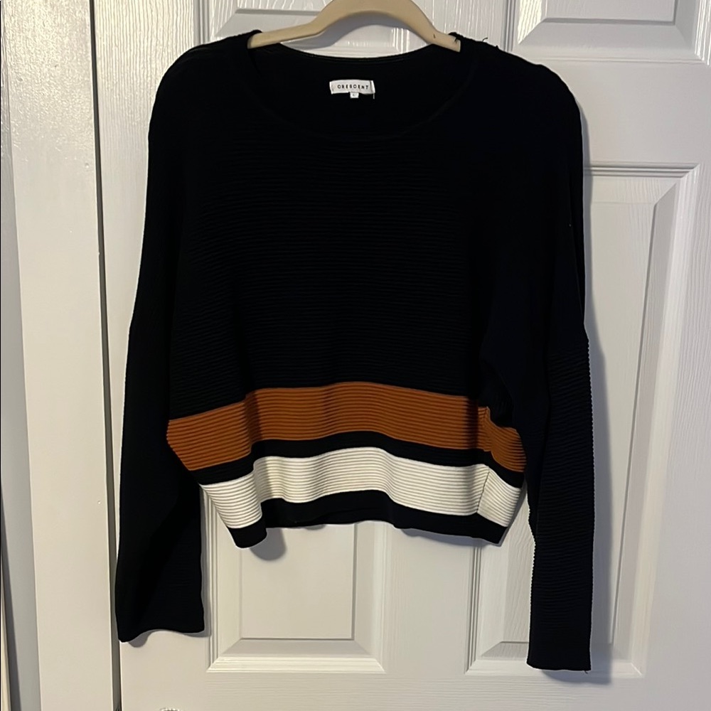 Aritzia Black Sweater with Stripes